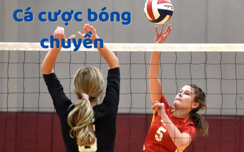 Bùng Nổ Cá Cược Bóng Chuyền - Skyclub Mở Ra Kỷ Nguyên Mới