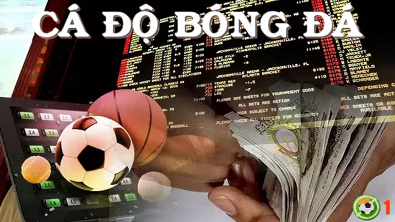 Cá Cược Bóng Đá Skyclub - Cơ Hội Vàng Cho Dân Cá Độ?
